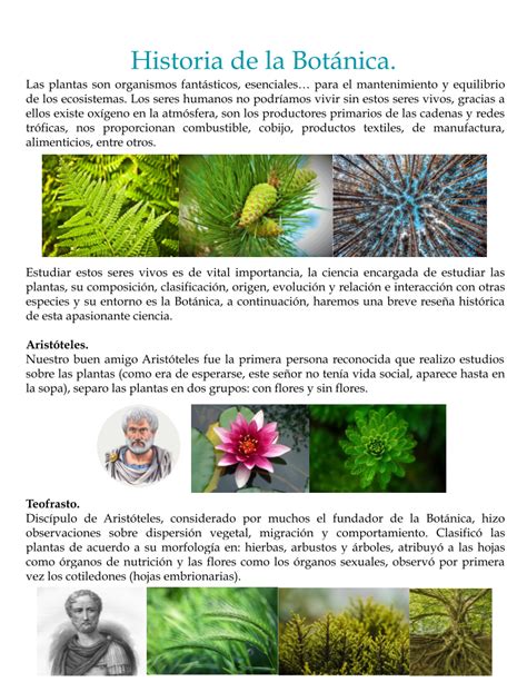 Historia De La Botánica
