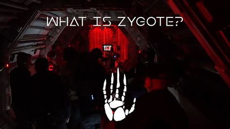 Oats Studios What Is Zygote Youtube