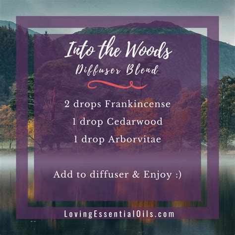 10 Fall Diffuser Blends Wonderful Scents Of The Season Loving Essential Oils