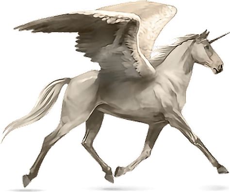 Download Hd Horse Alado Aladus Cavalo Asas Wings Mikah014 Howrse