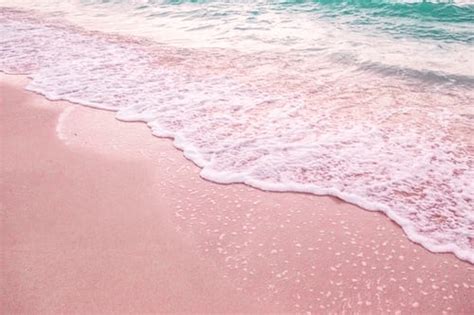 11 Best Pink Sand Beaches In The World Must See Gorgeous Pink Sand