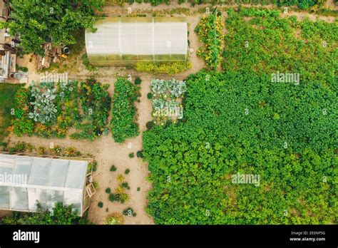 Aerial View Of Vegetable Garden Hi Res Stock Photography And Images Alamy