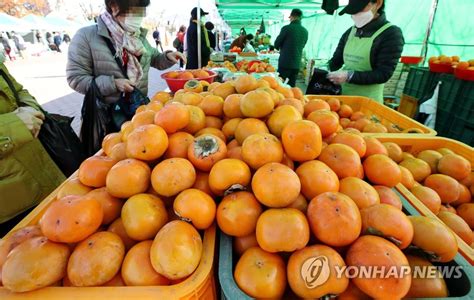 May 31, 2021 · 송파구(구청장 박성수)가 미래발전을 위한 프로젝트 '신천맛골~올림픽공원 일대 활성화 및 발전방안 수립 용역'을 본격 추진한다. 올림픽공원 농산물 직거래장터 오픈 | 연합뉴스
