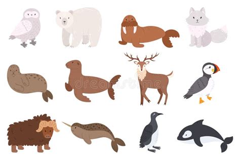 Set Of Arctic Animals Owl Polar Bear Walrus Arctic Fox And Seal Or