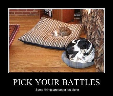 Picking Your Battles
