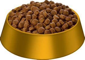 Dog food can come in many different forms: Puppy Up Foundation | Why grain-free dog food could mean ...