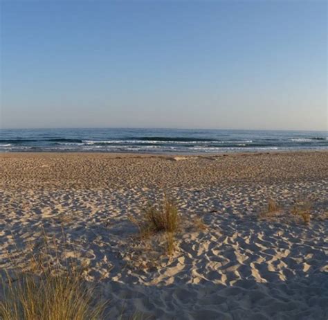 Lista Foto Nudistas En Playas Del Algarve Portugal Lleno