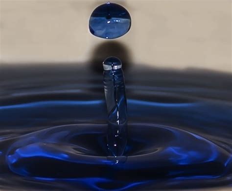 Free Images Water Drop Liquid Wave Petal Glass Reflection Drip