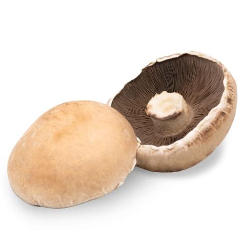 Buy Portobello Mushrooms X Kg Order Online From Jj Foodservice