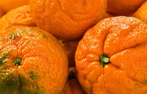 8 Beneficios De La Mandarina ¿cuántas Calorías Tiene Una Mandarina