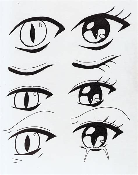 Anime Catz Eyes By Drawinganieyes Club On Deviantart Cat