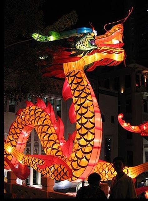 Beautiful Chinese New Year Dragons Chinese Zodiac Dragon Chinese New