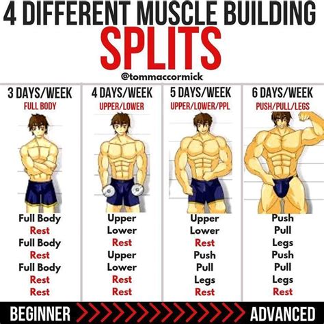 Powerful Muscle Building Gym Training Splits Workout Splits Gym Workout Tips Ectomorph Workout