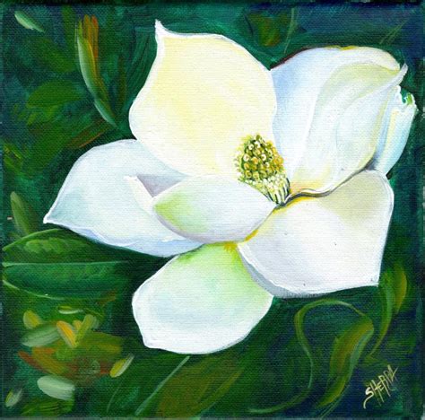 Magnolia Flower Painting Best Flower Site