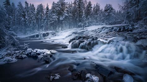 Waterfall Stream Between Snow Covered Trees In Forest