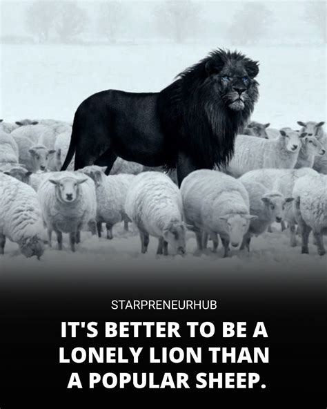 Its Better To Be A Lonely Lion Than A Popular Sheep Rmotivationalpics
