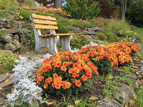 Fall Landscaping Ideas With Mums Elden Westmoreland