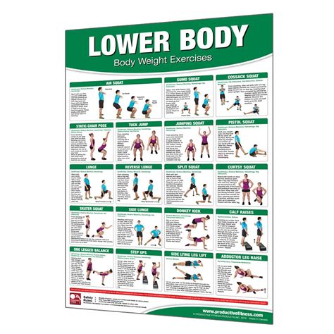 Buy Iron Company Productive Fitness Laminated Fitness Poster Body