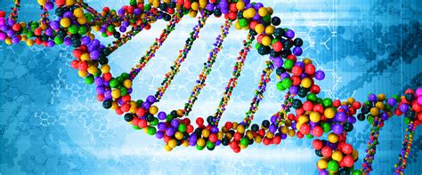 3qs New Clues To Unlocking The Genome Northeastern University