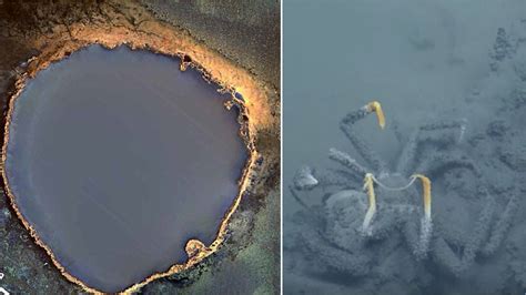 Scientists Discover Deadly Underwater Lake That Will Kill Anything That