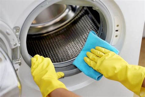 How To Clean Washing Machine Plantforce21