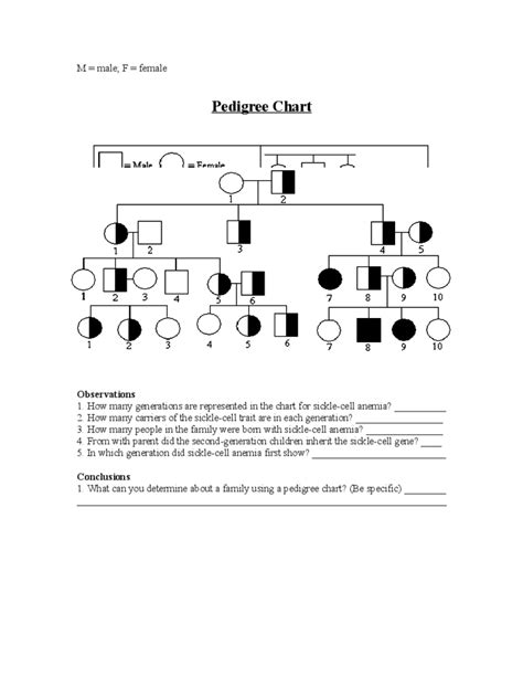 Pedigree Chart Worksheet Answer Key Pedigree Charts Notes Practice My Xxx Hot Girl