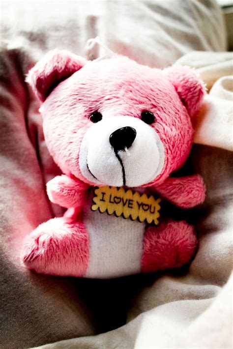 I Love You Teddy Bear Cute Bears Hd Phone Wallpaper Peakpx