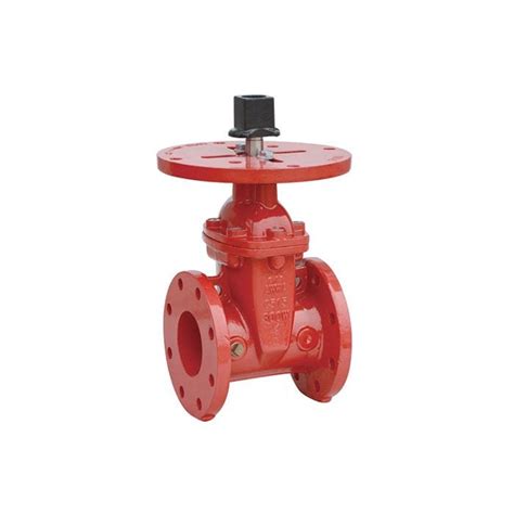 Flg Nrs Gate Valve W Piv