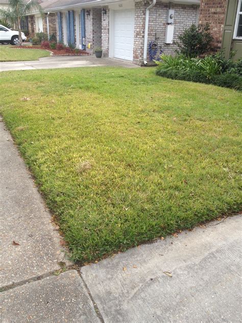 We did not find results for: Top 2,823 Reviews and Complaints about TruGreen Lawn Care ...
