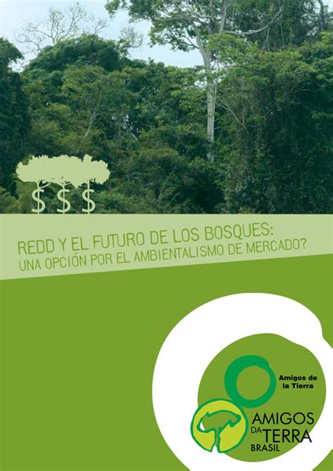 Redd Y El Futuro De Los Bosques Una Opción Por El Ambientalismo De