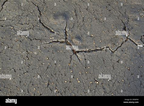 Old Worn And Cracked Asphalt With Cracks Stock Photo Alamy