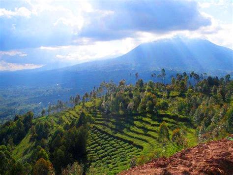 Since the 1994 genocide, the government of rwanda has recorded significant achievements in poverty reduction, gender equality what the world food programme is doing in rwanda. Rwanda - Vacations That Matter | Customized Meaningful ...