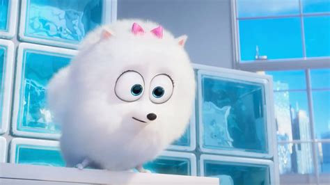 The Secret Life Of Pets 2 Trailer 2019 Gidget Movieclips Trailers