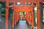 Hanazono Inari Shrine, Uenokoen