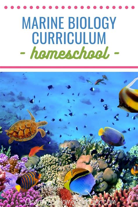 Secular Homeschool Marine Biology Curriculum Biology Curriculum