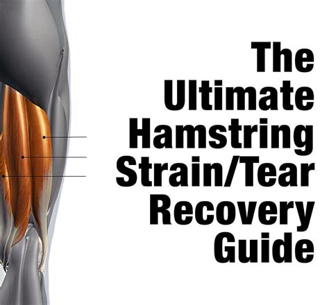 The Ultimate Hamstring Strain Tear Recovery Guide Artofit