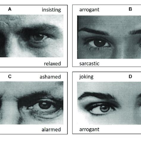 Example Items From The Reading The Mind In The Eyes Test Rmet Download Scientific Diagram