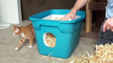 How To Make A Feral Cat Shelter Youtube
