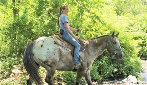 Pennsylvania And Beyond Travel Blog Mountain Creek Riding Stables The