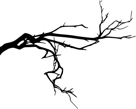 24 Spooky Tree Branch Png Transparent