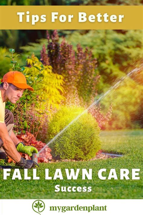 What Do You Put On Your Lawn In The Fall In 2020 Fall Lawn Care