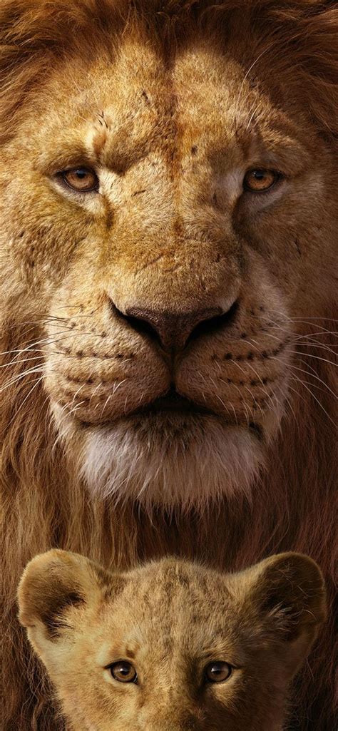 The Lion King 8k Iphone 12 Wallpapers Free Download