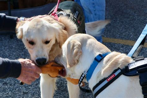 Our First Book Signing Event…Unforgettable! | Unforgettable Faces & Stories