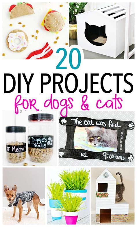 20 Awesome Diy Pet Projects To Make For Your Dog And Cat Pet Diy