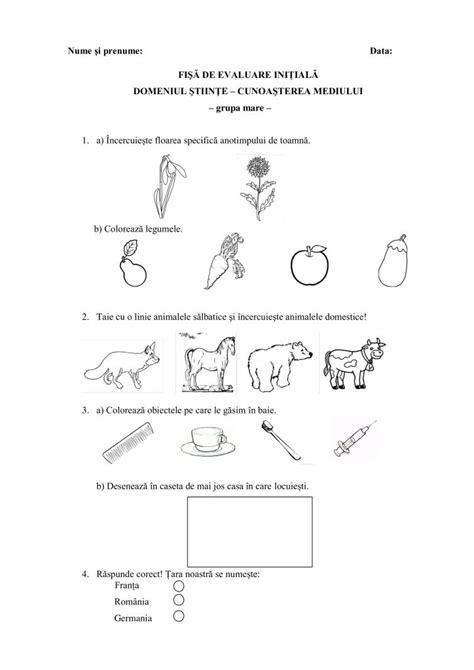 Academiaabc Evaluare Ini Ial Grupa Mare Cunoa Terea Mediului