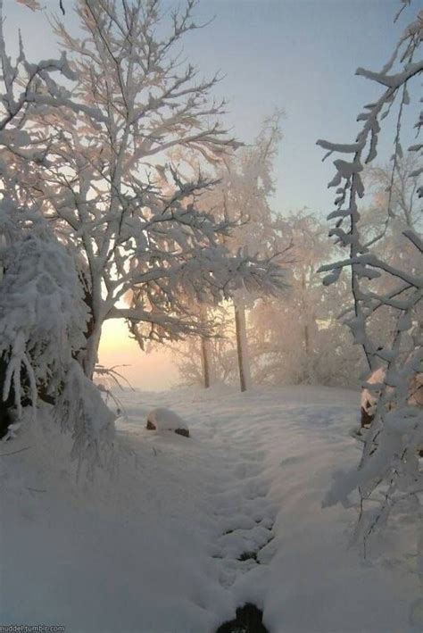 17 Best Images About Winter Wonderland On Pinterest Snow Snow