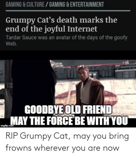 Gaming And Culture Gaming And Entertainment Grumpy Cats Death Marks The