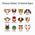 Premium Vector | Chinese zodiac 12 animal signs