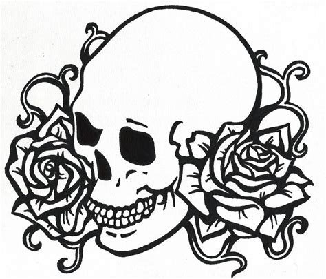 Free Skull Line Art Download Free Skull Line Art Png Images Free