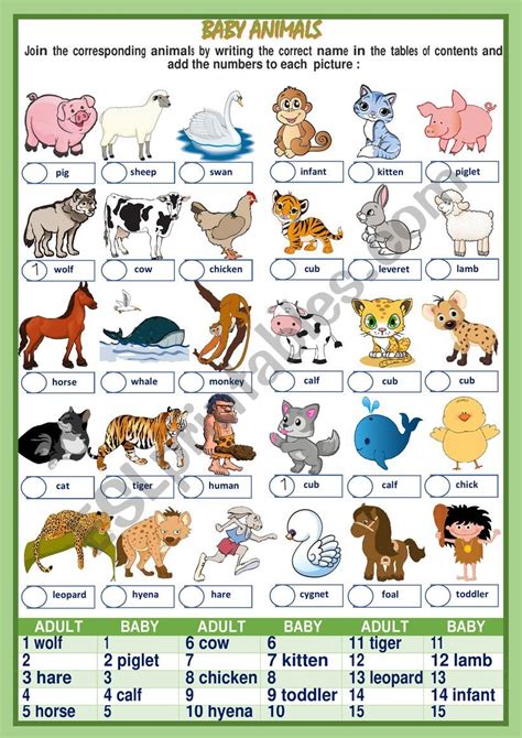 18 Animals Pictures Name Png